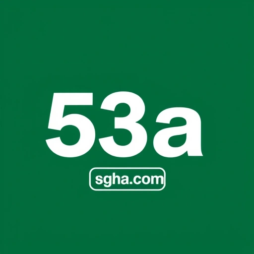 53a